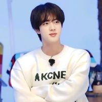 Seokjin [석진]
