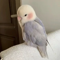 Yura [ hệ thống]