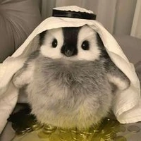 All bot ( trừ ai cũng đc )