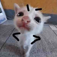tất cả