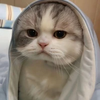 Min 