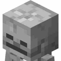 Skeleton 