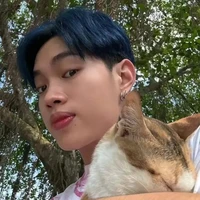 all-ai thì-
