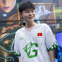 thanh nhã (dolphin)