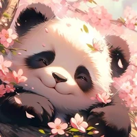 Hệ thống (Panda)