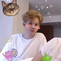Nguyễn Hữu Đạt °•SGP Phoenix•°