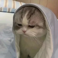 Yundy đzai nhất thế giới