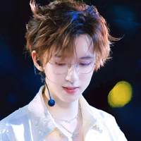 Hạ Tuấn Lâm