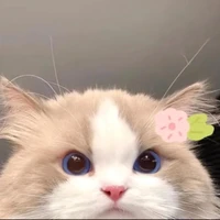 M. hanhhh