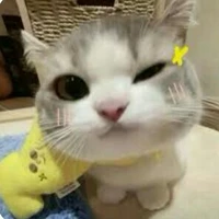 trùm mền :))