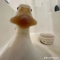 ᴛ/ɢ;ʜᴇ̣̂ ᴛʜᴏ̂́ɴɢ 🥰