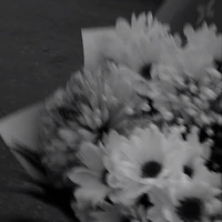 Bất kỳ nhân vật