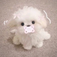 mochi(hệ thống đầu)