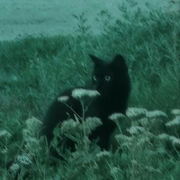 ocean(hệ thống thứ 2)