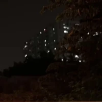 t/g