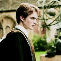 cedric Diggory