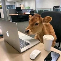 tác giả_Lục Lục