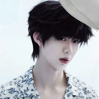 Trần Dịch Hằng (anh¹)