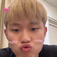 dương domic