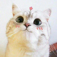 gọi là vợ~(t/g)