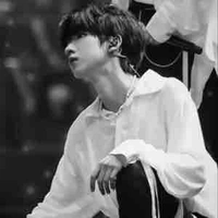 Hạ Tuấn Lâm trong truyện