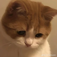 𝐉𝐚𝐦𝐞𝐬𝐨𝐧 - 𝐓/𝐆