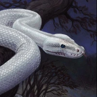 Bạch Xà(tiểu Bạch)