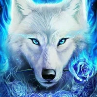 Nhị Lang(tiểu Lang)