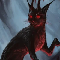 Hắc Miêu(tiểu Miêu)