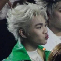 cap trog hình dạng hồ ly 