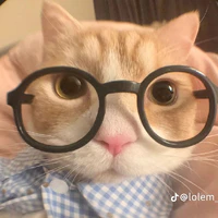 hệ thống i love tiktok