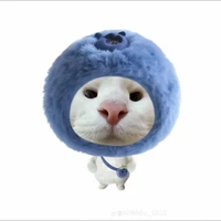 Tác giả muahaha