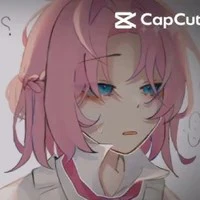hiha alpha