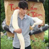Việt Trung