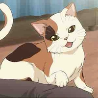 Michi