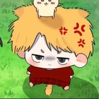 kisa mc