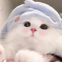 hệ thống 001_mèo_
