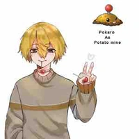 Pokaro
