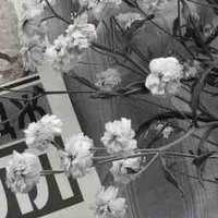 All trừ ai thì trừ