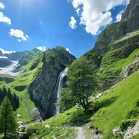 Tác giả yêu thiên nhiên