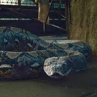 Nagini