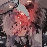 lạclongminh/shadon/