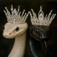 ae kichiba( dạng rắn)