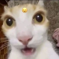 mị đêy