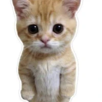 tác giả 