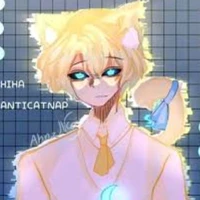 Hiha anticapnap