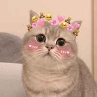 chuyện j khó cs t/g phờ lo🌸