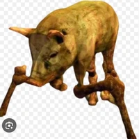 ？？？