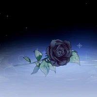 Nhân vật bí ẩn ( Nv phụ)