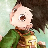 Gon Freecss